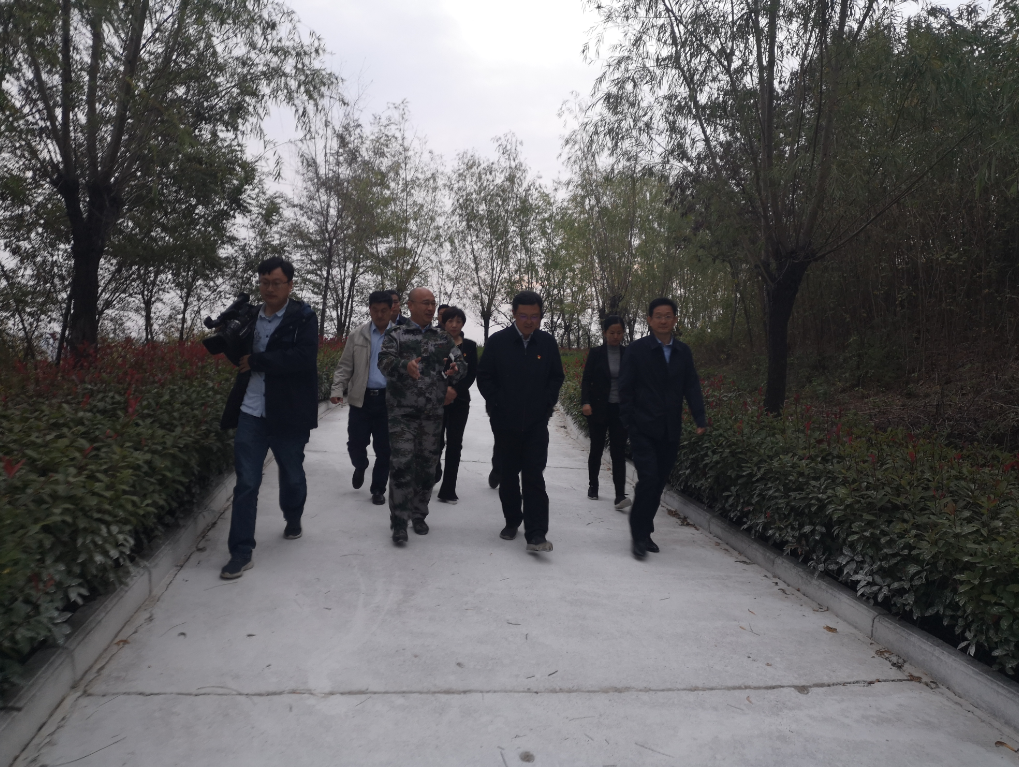 1540430662284577.png 1540430662284577.png